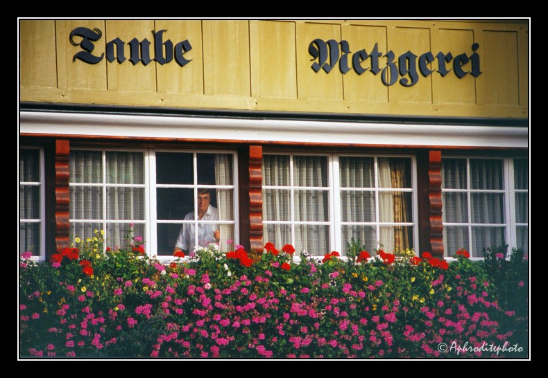 12 Typische Fassade in Urnäsch
